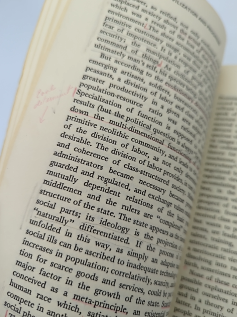 In Search Of The Primitive Critique Of Civilization by Stanley Diamond by Stanley Diamond