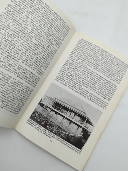 Pearl Shell And Pastures by Kathy De La Rue (Paperback, 1979) by Kathy De La Rue
