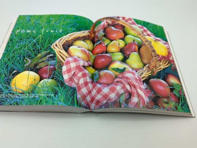 Dig Modern Australian Gardening by Meredith Kirton (Paperback, 2004) Gardening by Meredith Kirton