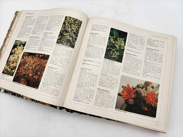 Reader's Digest Illustrated Guide To Gardening, Vintage Illustrated Book 1979 by Reader'S Digest Services Pty Ltd