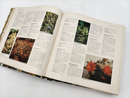 Reader's Digest Illustrated Guide To Gardening, Vintage Illustrated Book 1979 by Reader'S Digest Services Pty Ltd