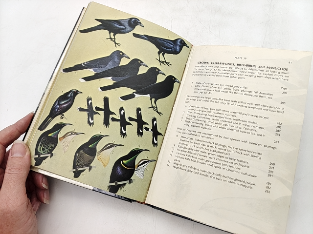 Field Guide To Australian Birds, Volume Two: Passerines by Peter Slater by Peter Slater
