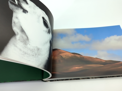 Wild Things by Jaschinski (Hardcover, 1999) Animal Photography Coffee Table Book by Britta Jaschinski