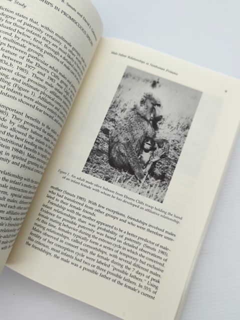 Father-child Relations: Cultural And Biosocial Contexts (foundations Of Human Be by Barry S. Hewlett