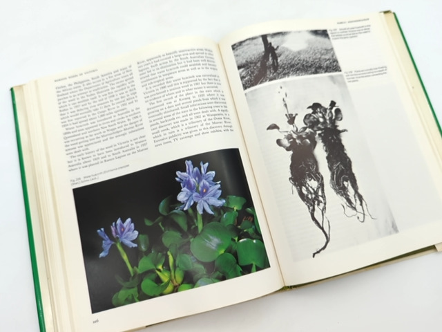 Noxious Weeds Of Victoria by W. T Parsons (Hardcover, 1973) by W.T. Parsons