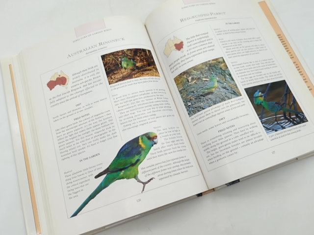 Attracting Birds To Your Garden In Australia by John Dengate, Birdwatching by John Dengate