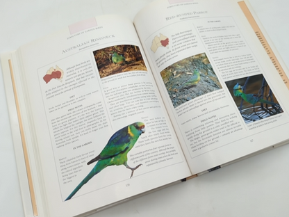 Attracting Birds To Your Garden In Australia by John Dengate, Birdwatching by John Dengate