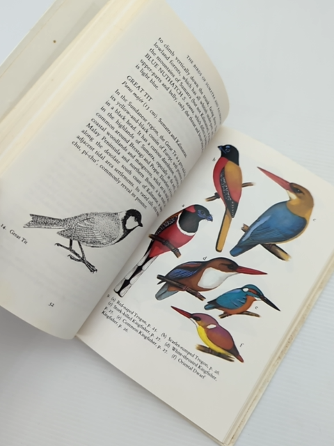 The Birds Of Sumatra And Kalimantan (images Of Asia), Derek Holmes, Birdwatching by Derek Holmes