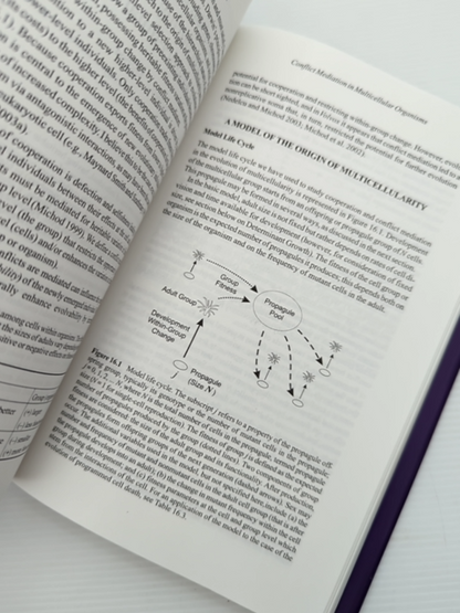 Genetic And Cultural Evolution Of Cooperation by Peter Hammerstein, Anthropology by Peter Hammerstein