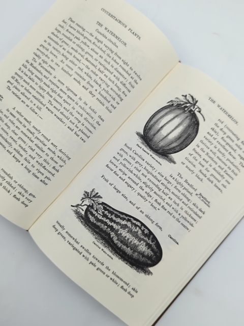 Field And Garden Vegetables Of America by Fearing Burr Jr. (Cloth, 1988) by Fearing Burr