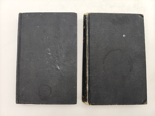 Mrs Robert Henrey Bundle 2x Vintage Novels, Little Madeleine, Exile In Soho by Mrs Robert Henrey