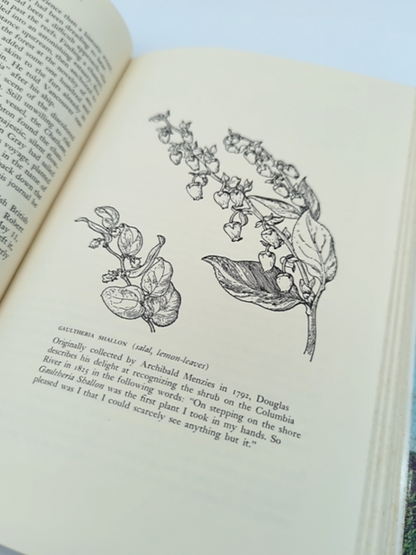 Traveler In A Vanished Landscape: Life & Times David Douglas, 1800's Botanist by William Morwood