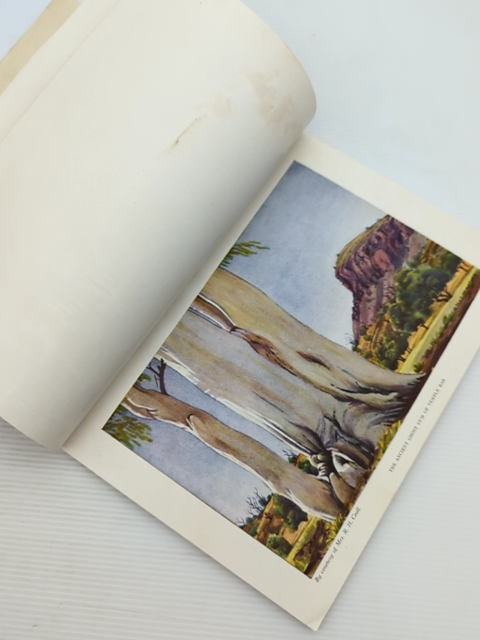 The Art Of Albert Namatjira by C P Mountford (Hardcover, 1948) by C P Mountford