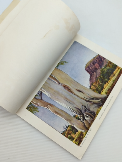 The Art Of Albert Namatjira by C P Mountford (Hardcover, 1948) by C P Mountford
