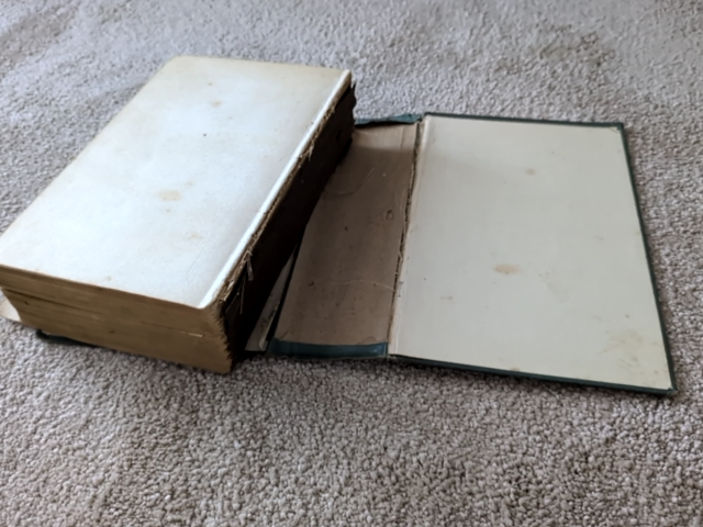 Deerfoot In The Forest by Edward S Ellis (Hardcover, 1905) Americana by Edward S Ellis