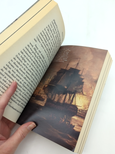 Nelson's Purse The Mystery Of Lord Nelson's Lost Treasures by Martyn Downer by Martyn Downer