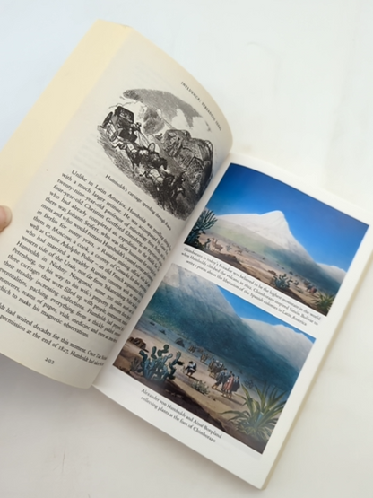 The Invention Of Nature: The Adventures Of Alexander Von Humboldt, The Lost Hero by Andrea Wulf