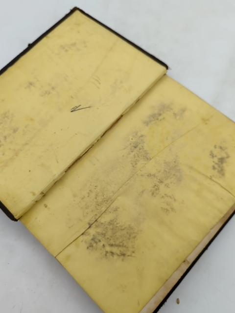 California Life Illustrated, William Taylor (1858) Rare Early America History by William Taylor
