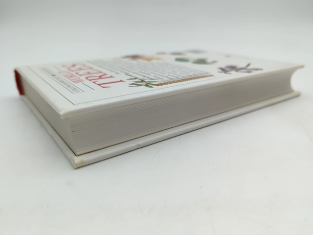 Trees by Allen J. Coombes (Hardcover, 1992) Botany, Plant Species Guide by Allen J. Coombes
