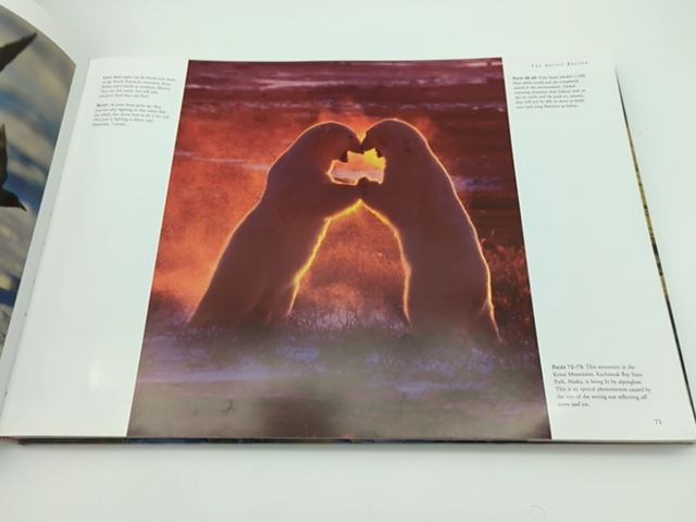 The Frozen World: A Panoramic Vision, Patrick Hook, Coffee Table Book ARCTIC by Patrick Hook
