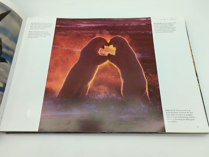 The Frozen World: A Panoramic Vision, Patrick Hook, Coffee Table Book ARCTIC by Patrick Hook