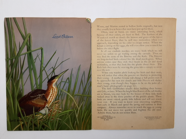 At Home With the Birds: A Book on Nesting Habits by Alfred M Bailey, Ornithology by Alfred M Bailey
