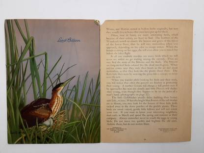 At Home With the Birds: A Book on Nesting Habits by Alfred M Bailey, Ornithology by Alfred M Bailey