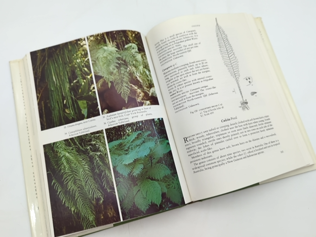 Australian Ferns And Fern Allies, With Notes On Their Cultivation, David L Jones by David L Jones