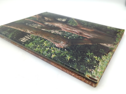 The Love Of Trees by Kenneth A Beckett (Hardcover, 1975) 1st Edition Botany by Kenneth A Beckett