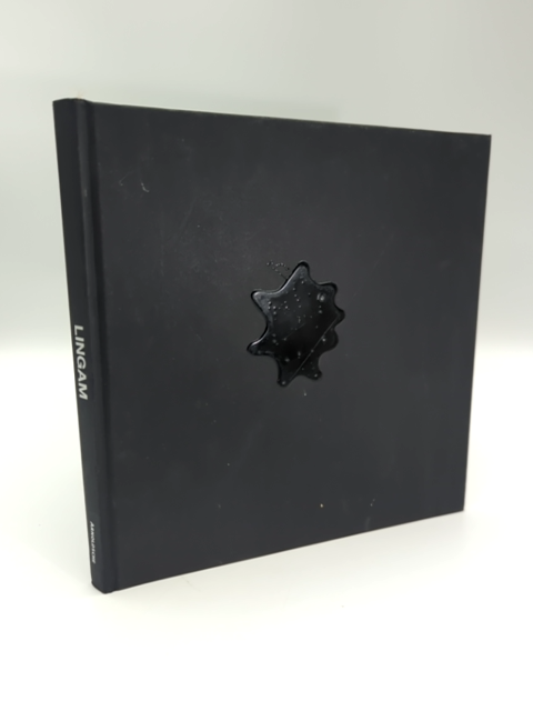 Lingam: Fertility Now by Gaspar Mallol (Hardcover, 2010) 1st Edition 3897903253 by Ruudt Peters, Mònica Gaspar Mallol