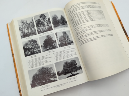The Use Of Trees And Shrubs In The Dry Country Of Australia by Norman Hall by Norman Hall