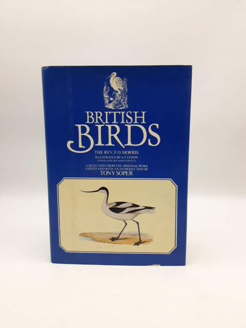 British birds by F. O Morris (Hardcover, 1981), Bird Ornithology Book by F. O Morris