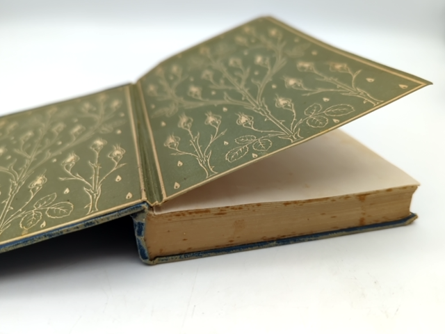 The Days of Bruce: A Story from Scottish History by Grace Aguilar (Cloth, 1903) by Grace Aguilar