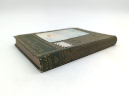 The Water Babies by Charles Kingsley (Hardcover, 1915) Children's by Charles Kingsley