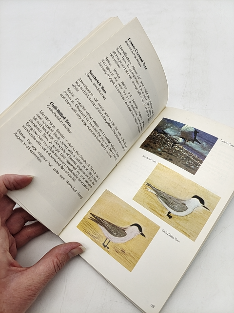 Birds of the Batinah of Oman by RA and GE Honeywell (Paperback, 1976) 1st Ed by Ra And Ge Honeywell