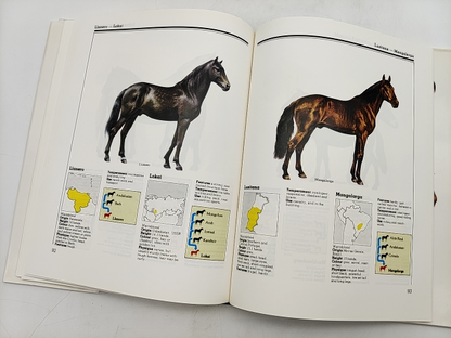 Horse Identifier: A Pictorial Guide to Horses by Jeremy Harwood by Not Available