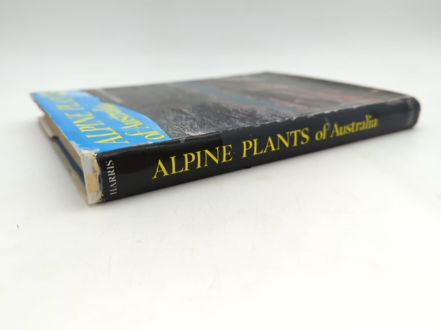 Alpine Plants Of Australia Including Subalpine And Montane Plants, Thistle Yolet by Thistle Yolette Harris