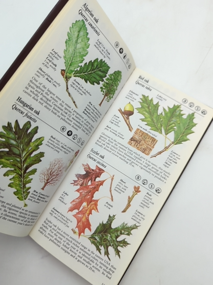 The Simon And Schuster Pocket Guide To Trees by Keith Rushforth, Trees by Keith Rushforth