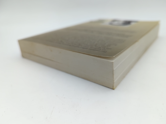 Hang-ups: Essays On Painting (mostly) by Simon Schama, Art Criticism by Simon Schama