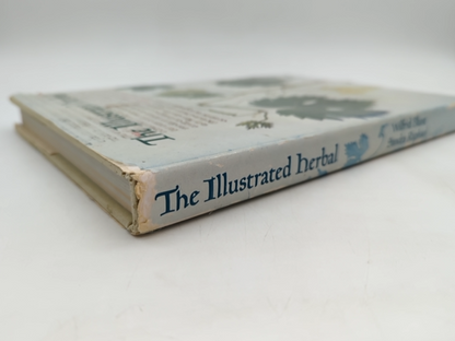 The Illustrated Herbal by Sandra Raphael & Wilfrid Blunt, Withchcraft Mandrake by "Sandra Raphael Wilfrid Blunt"