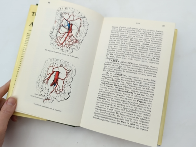 The Concise Gray's Anatomy by Henry Gray (Hardcover, 1983) Anatomy by Henry Gray