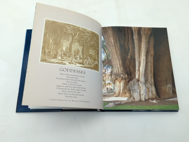 Remarkable Trees Of The World by Thomas Pakenham (Hardcover, 2003) Botany by Thomas Pakenham