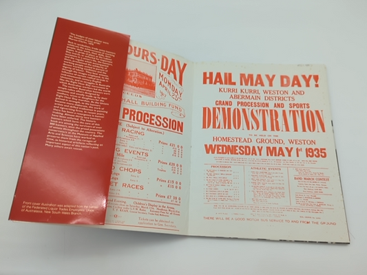 Badges Of Labour, Banners Of Pride: Aspects Of Working Class Celebration, Unions by Ann. Stephen
