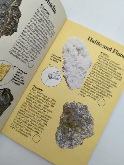 Spotter's Guide to Rocks & Minerals by Alan Woolley (Paperback, 1980) by Alan Woolley