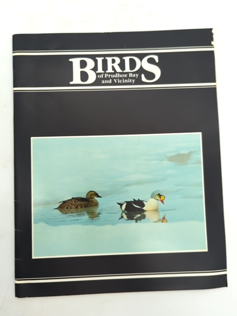 Birds of Alska: Prudhoe Bay & Vicinity by Declan Troy (Paperback, 1983) Guide by Declan M Troy