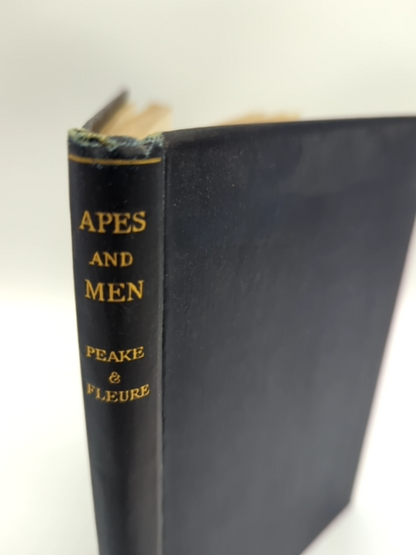 Apes and Men by Herbert John Fleure Harold Peake (Cloth, 1927) 1st Edition by Herbert John Fleure Harold Peake