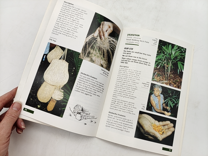 Guide To Traditional Aboriginal Rainforest Plant Use by John Roberts, Rare by John Roberts