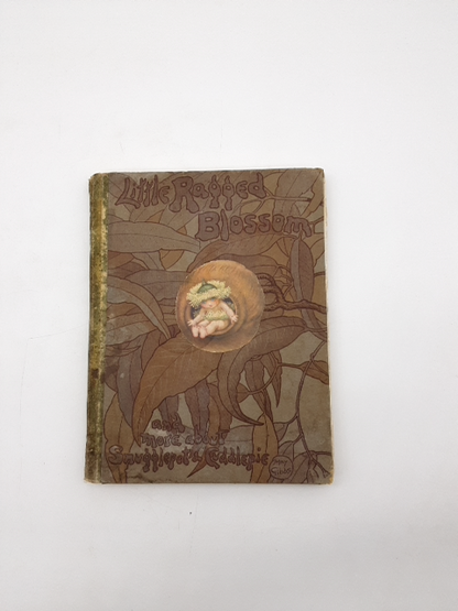 Little Ragged Blossom & More About Snugglepot & Cuddlepie May Gibbs 1920 1st Ed by May Gibbs