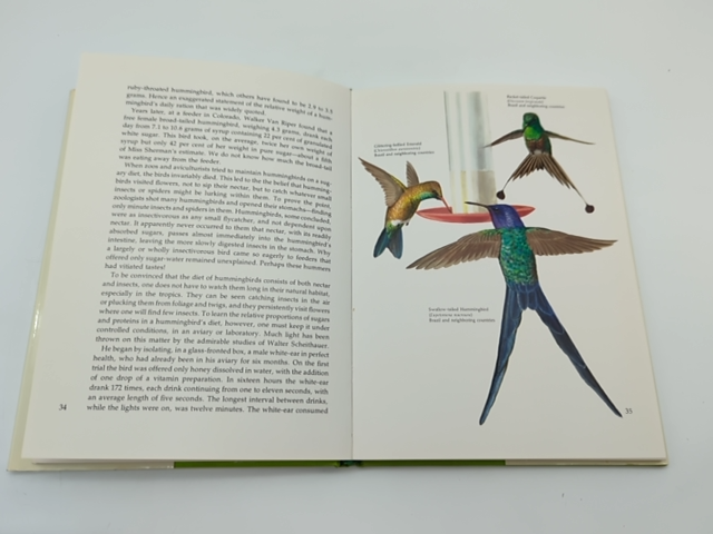 Life of the Hummingbird by Alexander F. Skutch (Hardcover, 1974) 0706403045 by Alexander F. Skutch