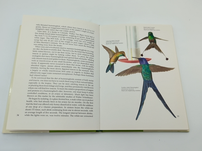 Life of the Hummingbird by Alexander F. Skutch (Hardcover, 1974) 0706403045 by Alexander F. Skutch